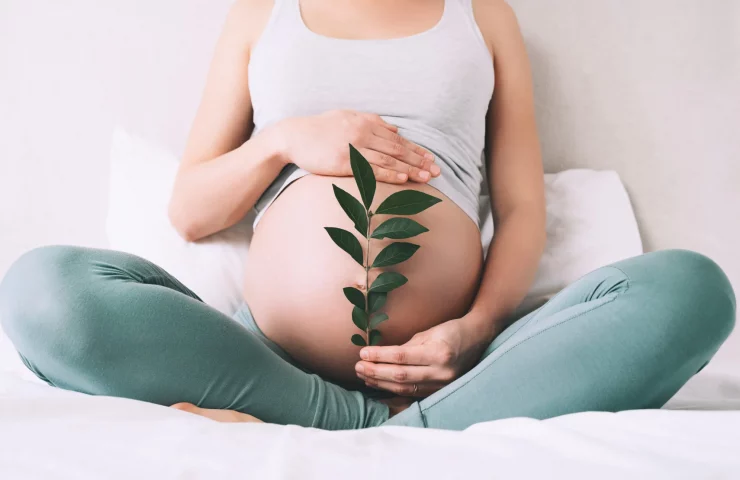 shutterstock_1904409550