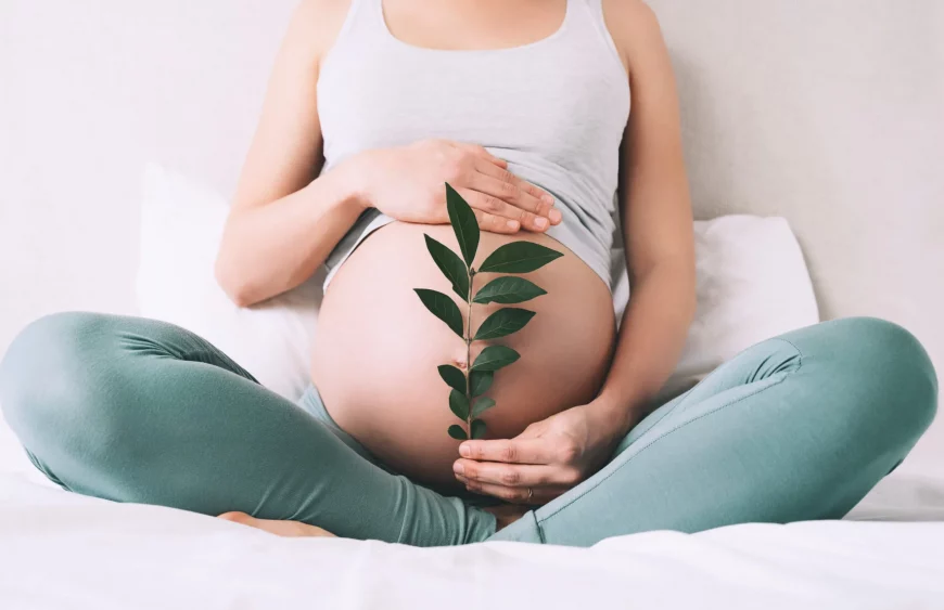 shutterstock_1904409550